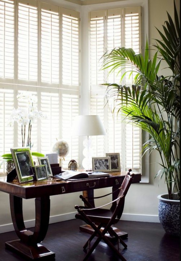 potted-palm-species-gold-fruit-palm-tree-in-im-homeoffice-palm-care